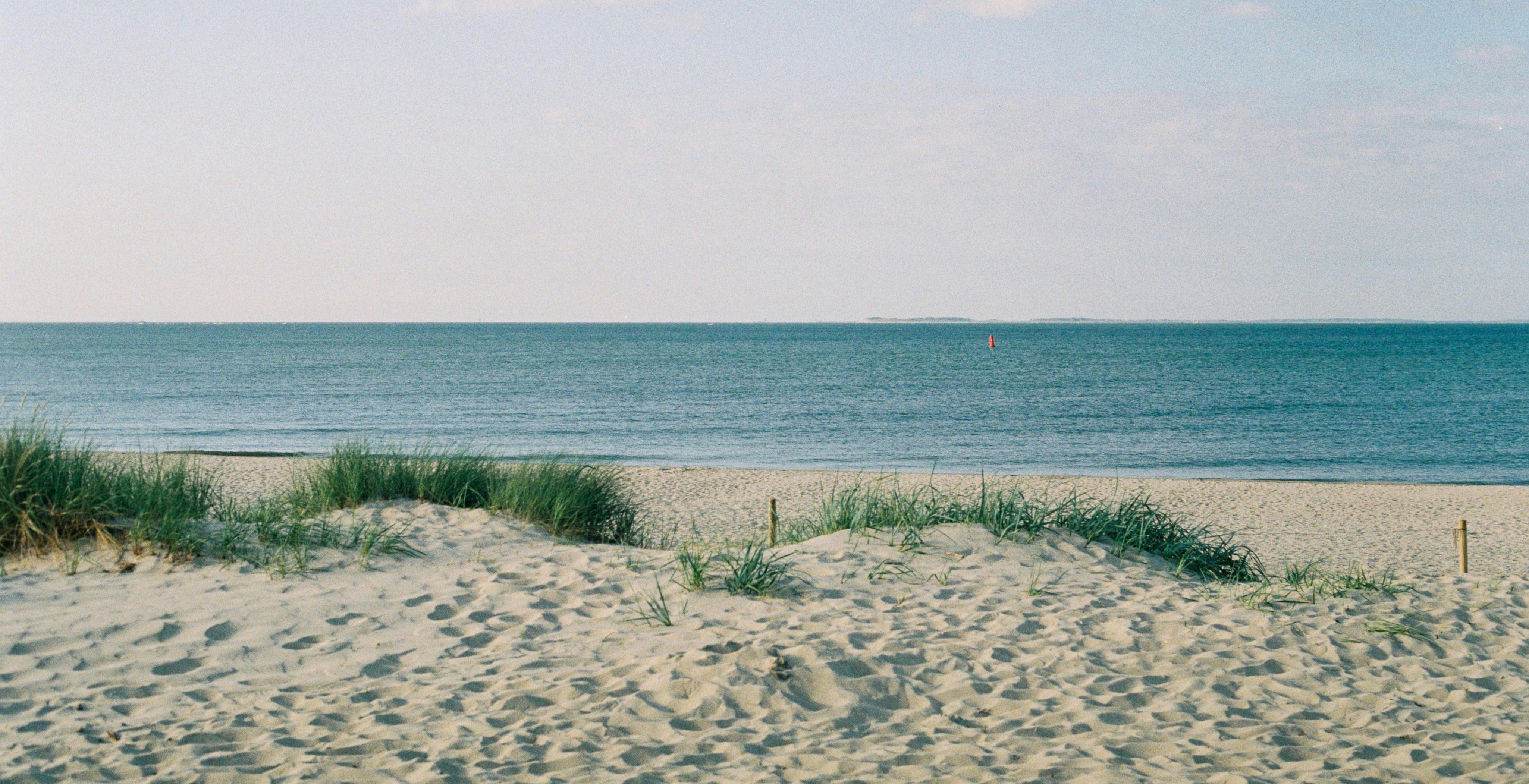 Collection_Banner.jpg